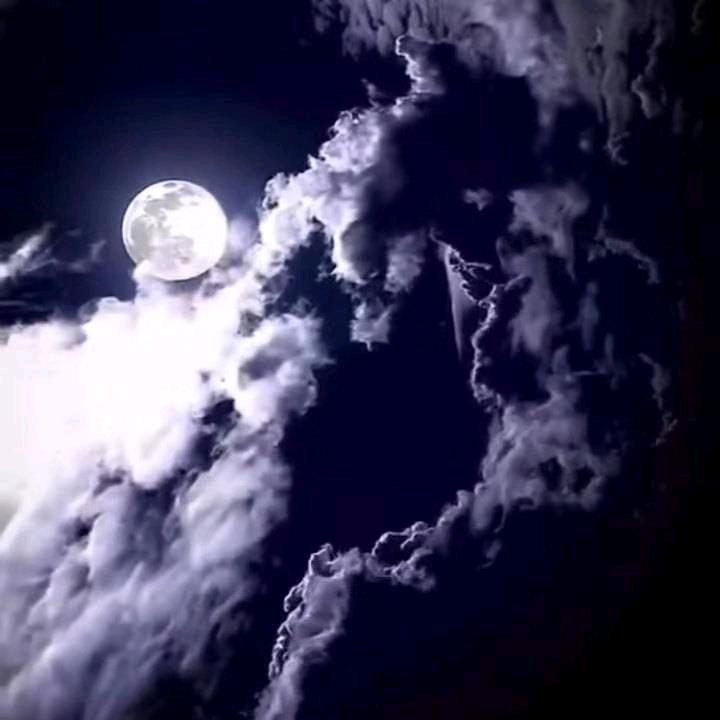 明月（夜）