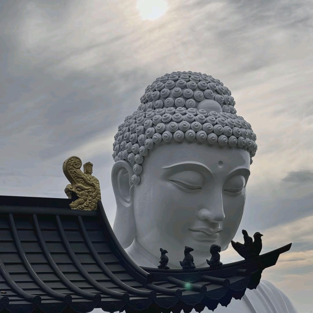 一张旧船票.