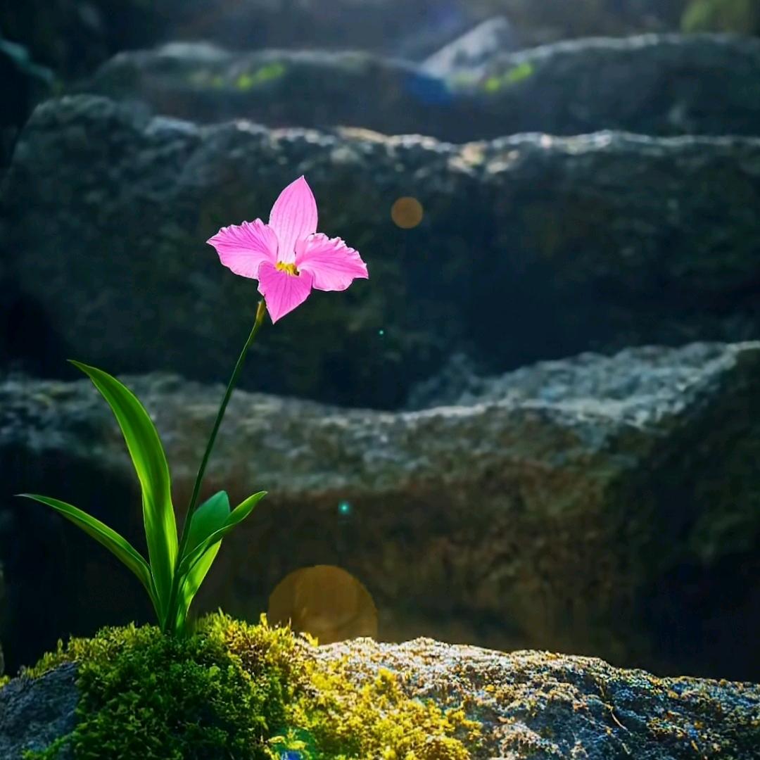 艶子