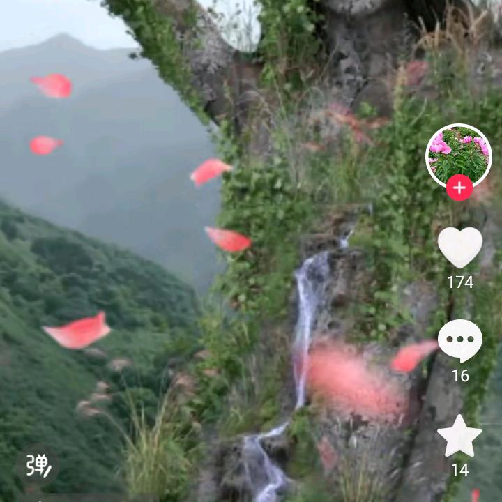 🈚️🈚️🈚️🈚️