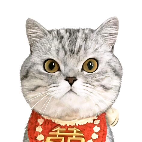 🐱鲁大力的日常🥕