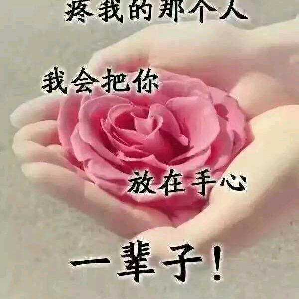 风雨
