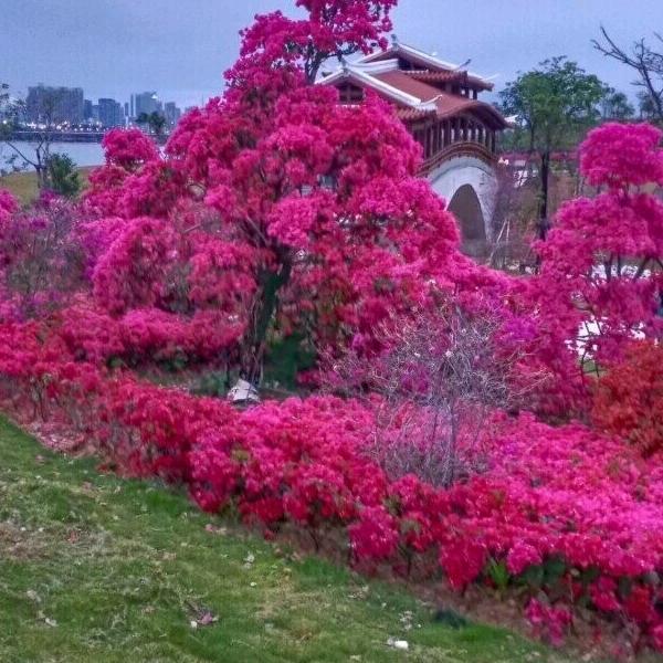 往事如风不可追