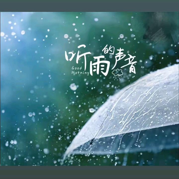 小雨
