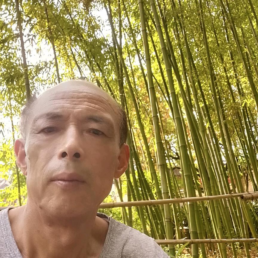 风的故事