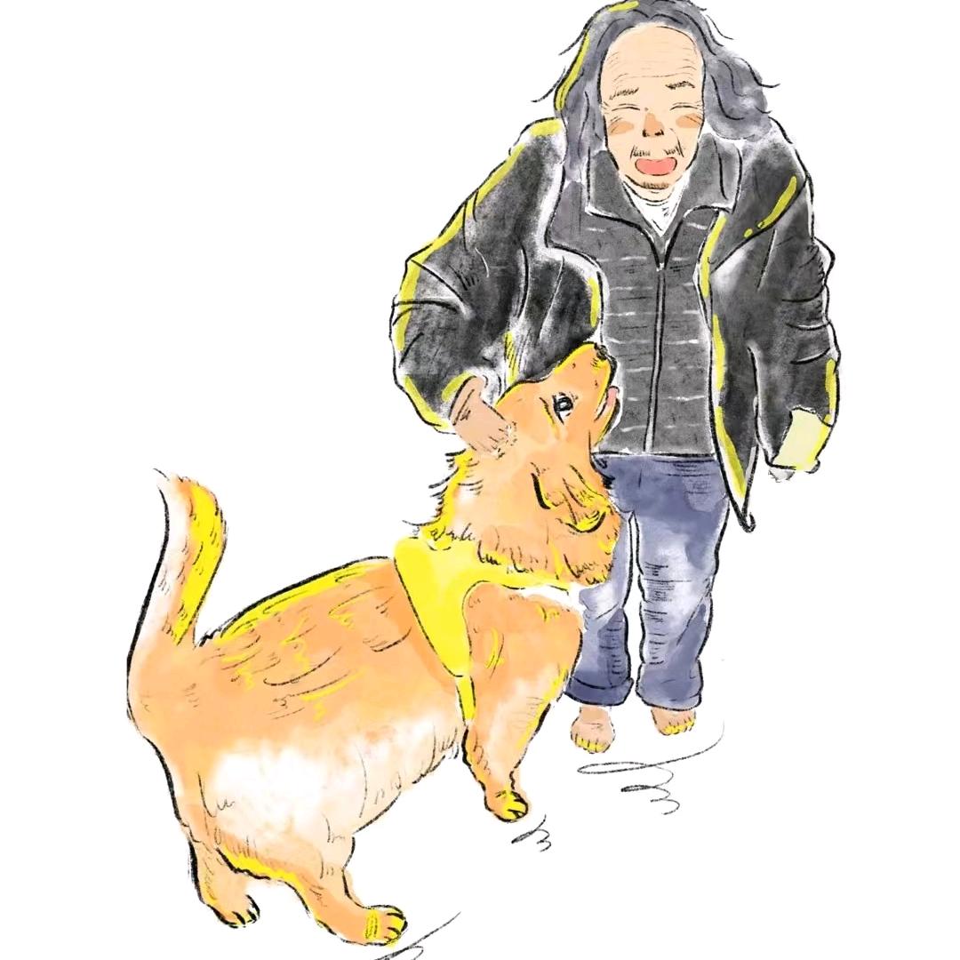 我与南风撞满怀
