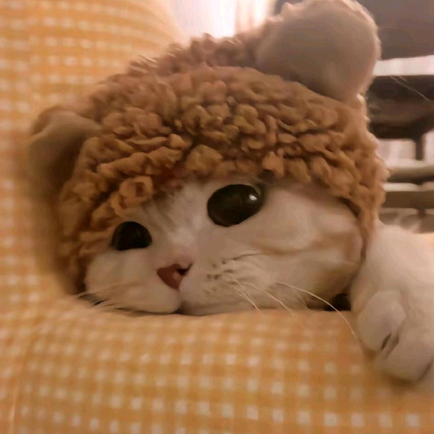 莫名的狮子头