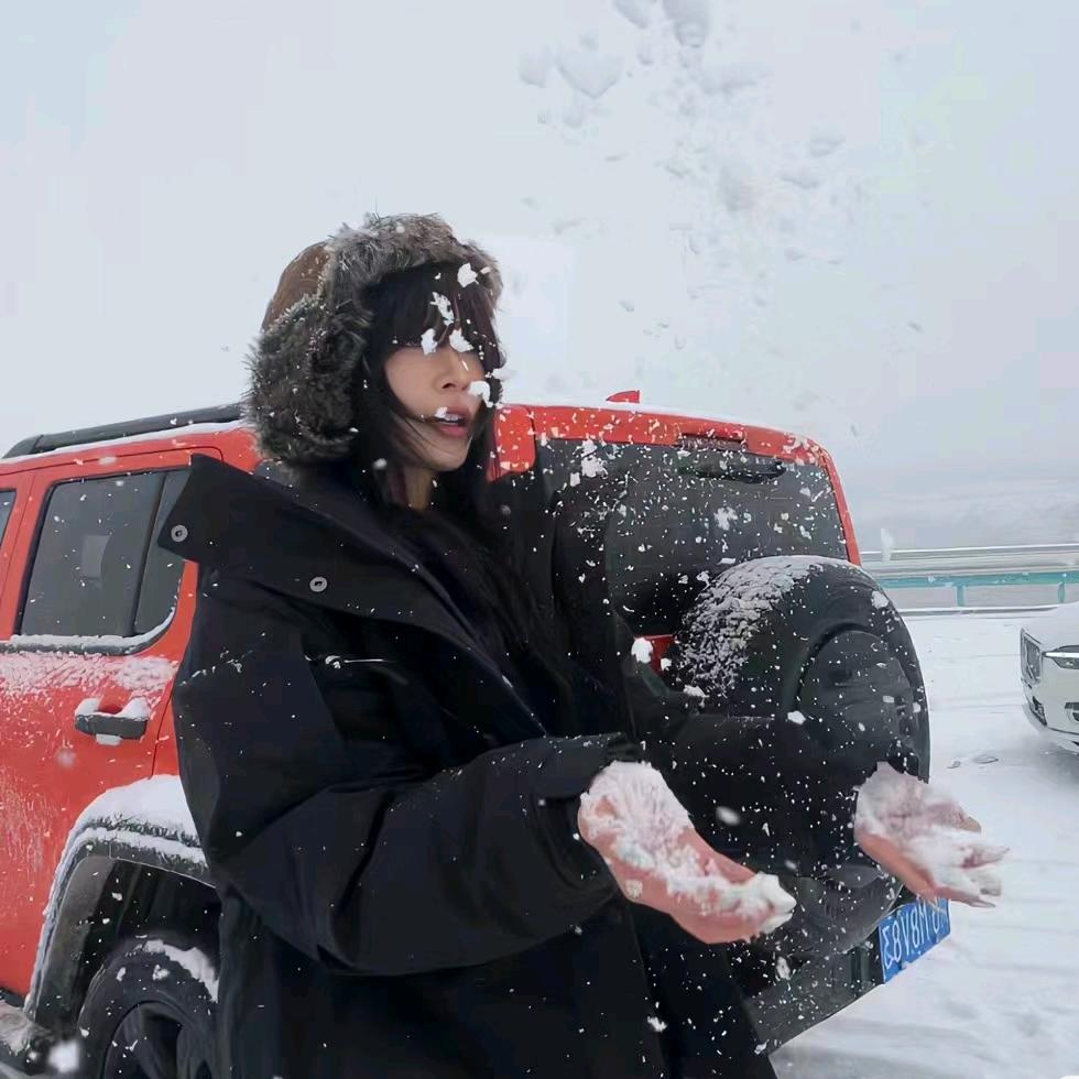 是鱼头和芋头🐟