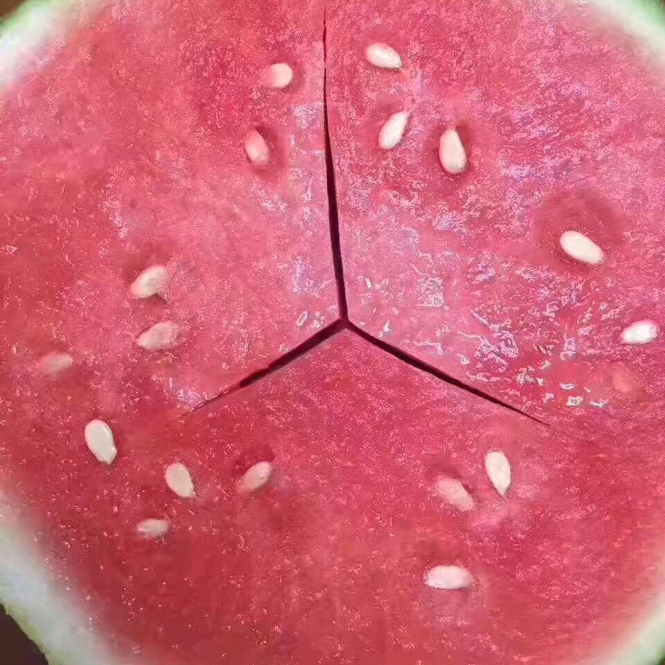 总裁水果(甜过初恋)