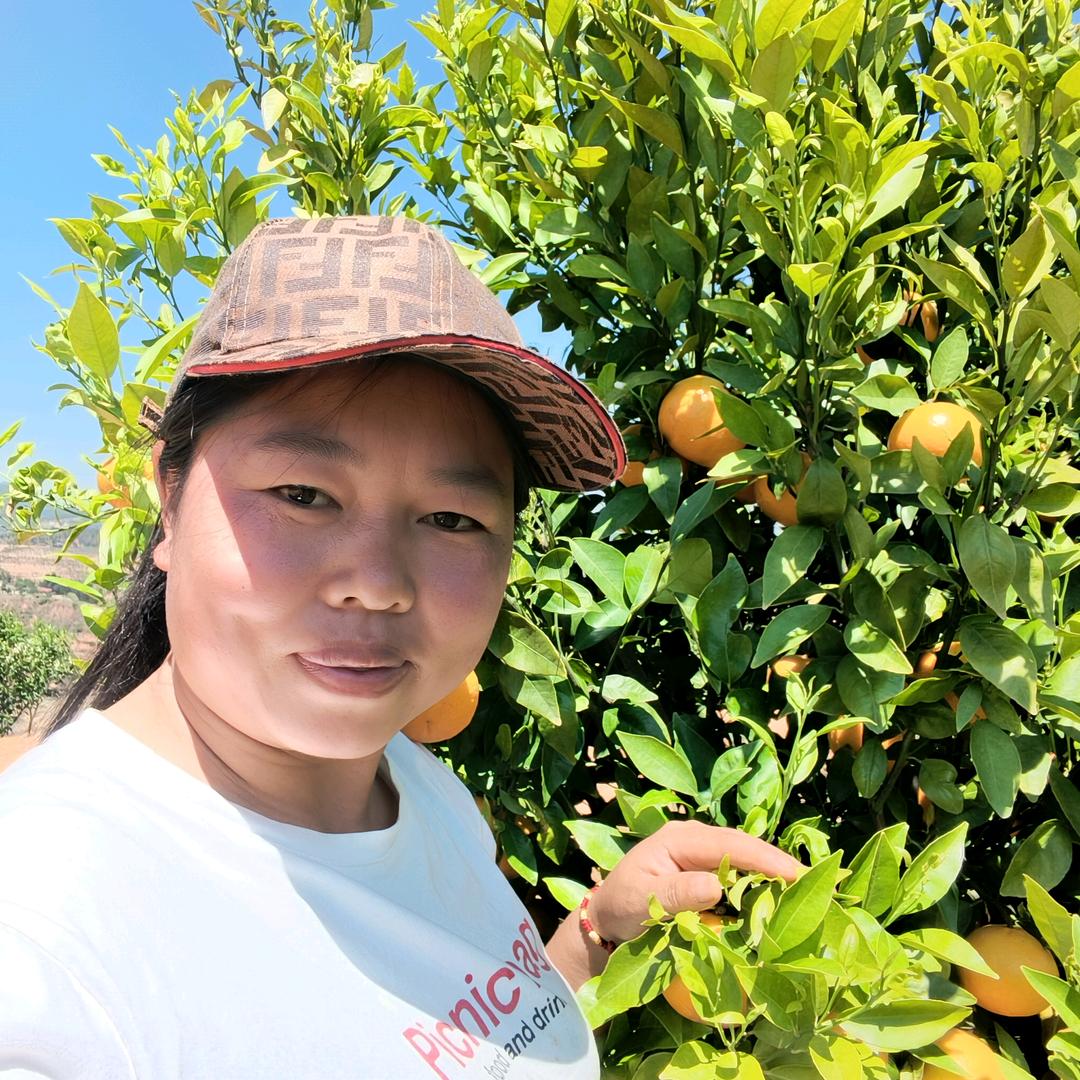 好好过好每一天