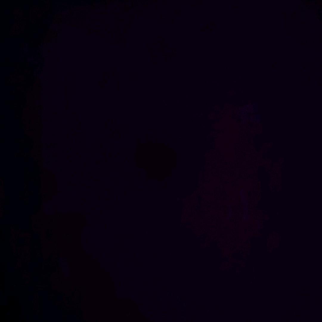 睡懒觉的不是zhu