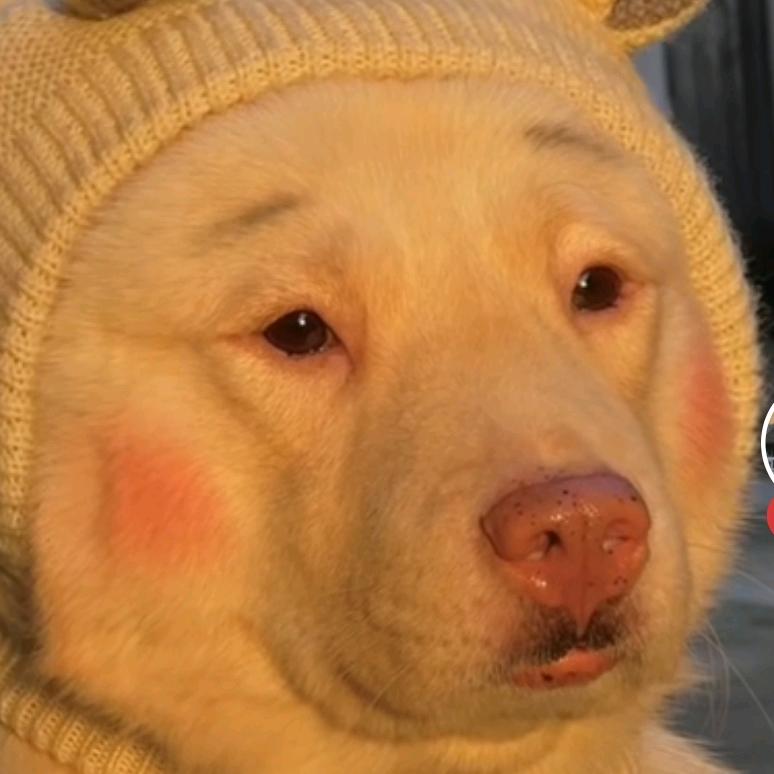 吃不起猪肉的幸福