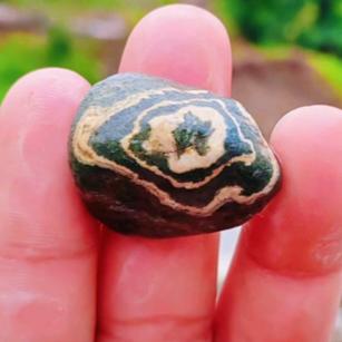 远山⛰️⛰️寻你