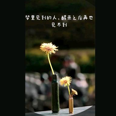 帕如克
