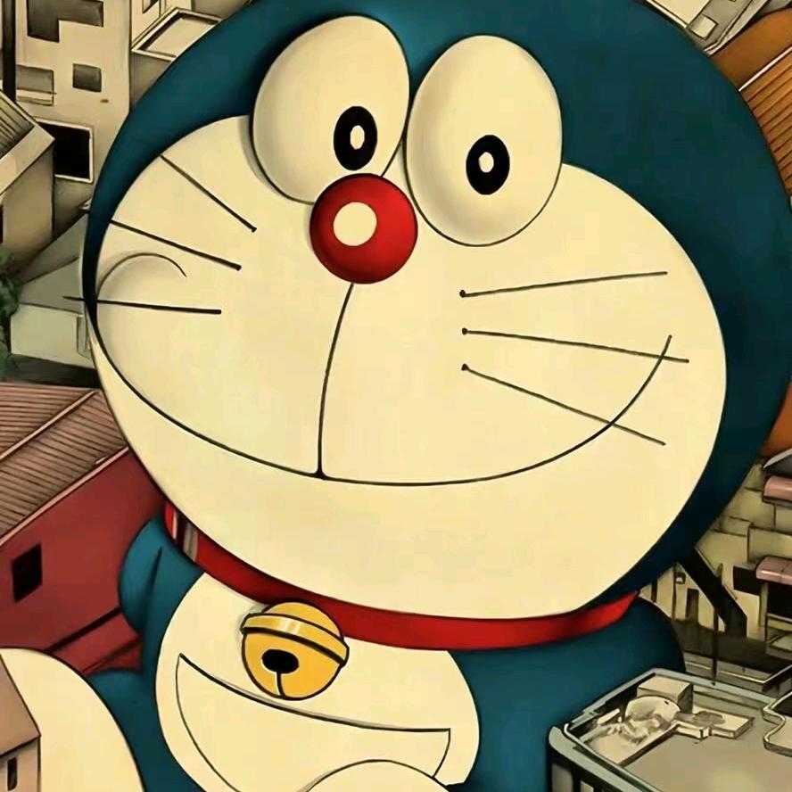 听风的猫