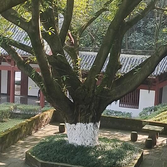 红尘过客，欢迎你加入