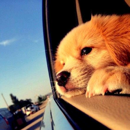 ঞৣ᭄嘟ོ嘟࿐