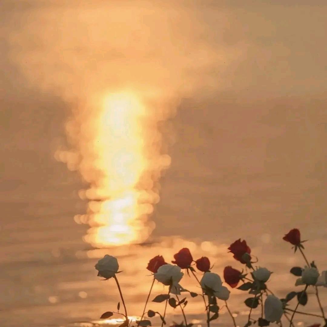 初十ﻬ(加油版)