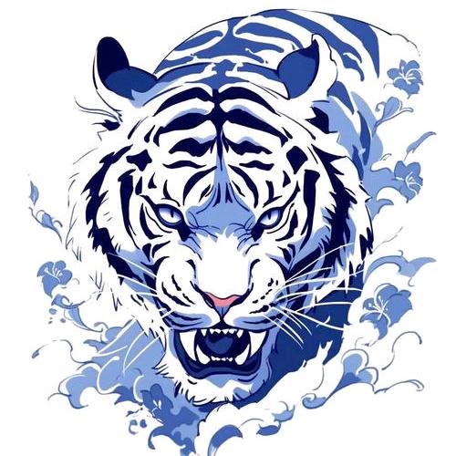 🍀小金伟@尊师张杰