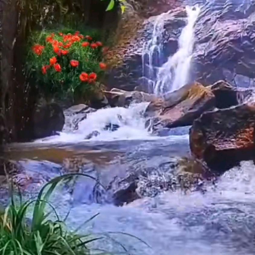 渭南市华山景区秦岳宾馆