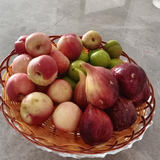 ❤️❤️ 从❤️心❤️开❤️始❤️❤