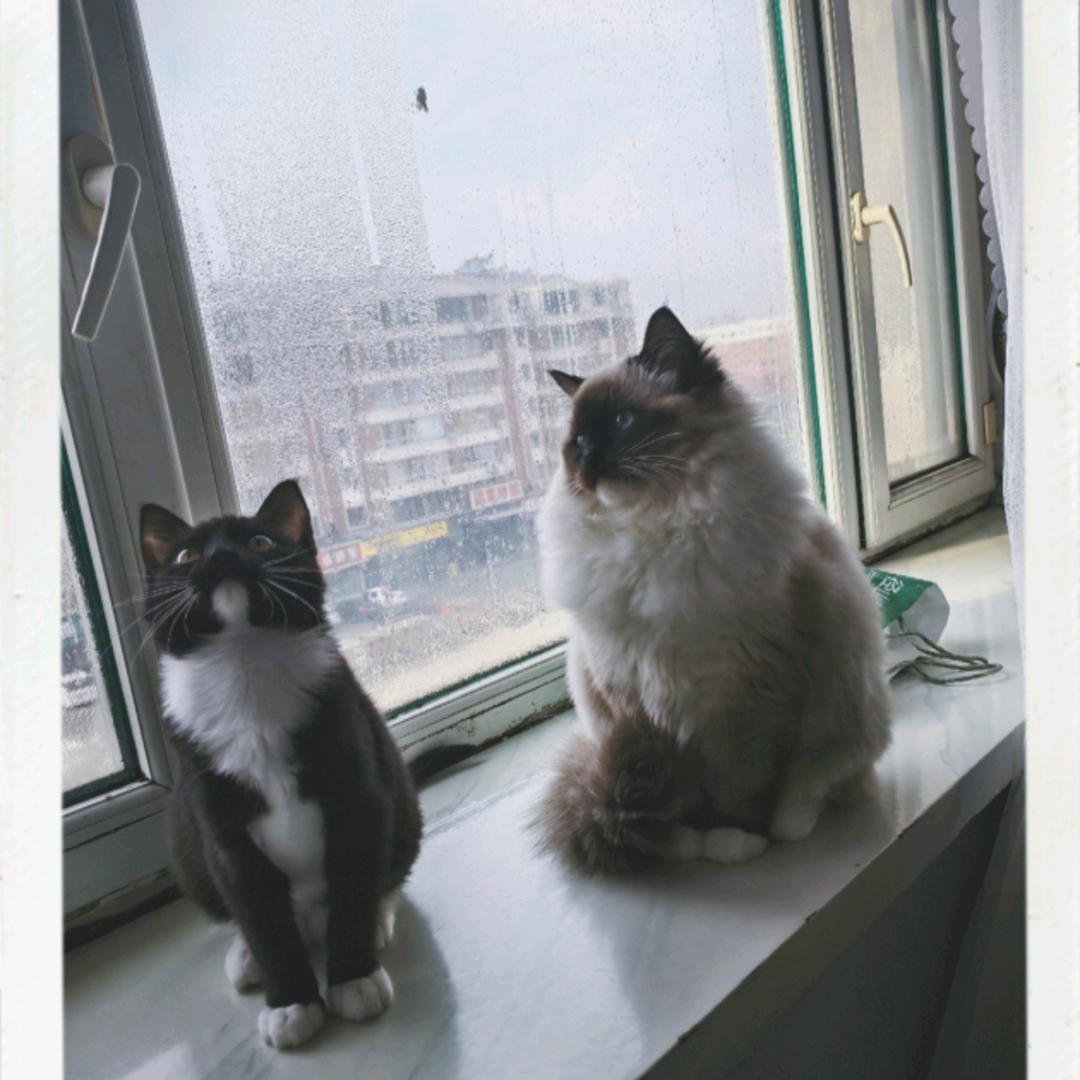 玖 . 一