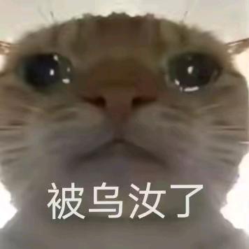 村里人（人机）