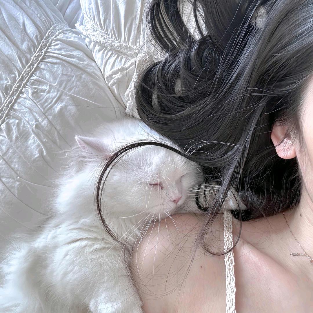 🍂钟于的尽头是终于🍂