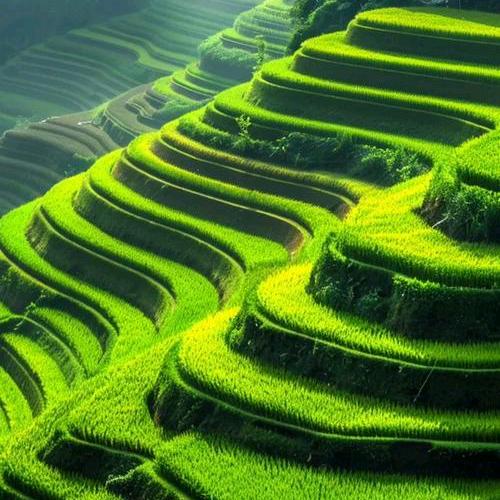 一山一水一风景