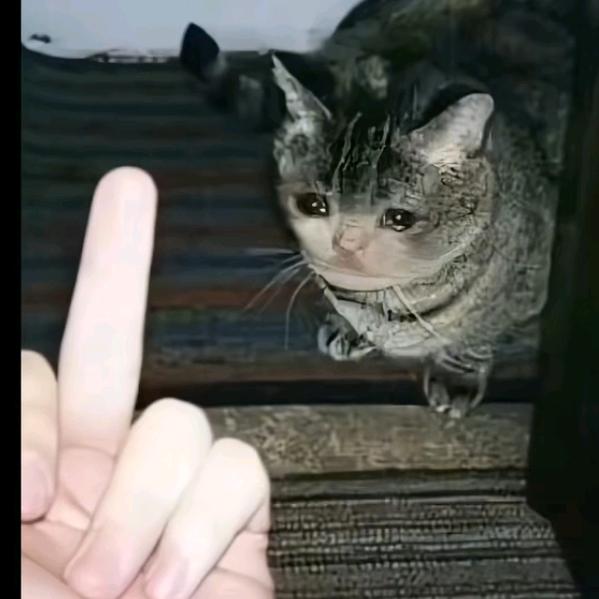狂暴重岳厨组长