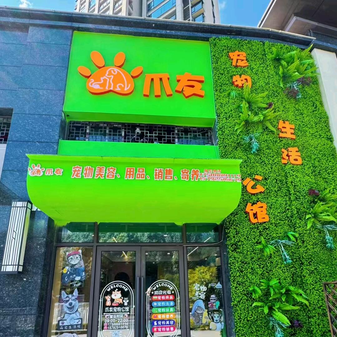 王哪逃