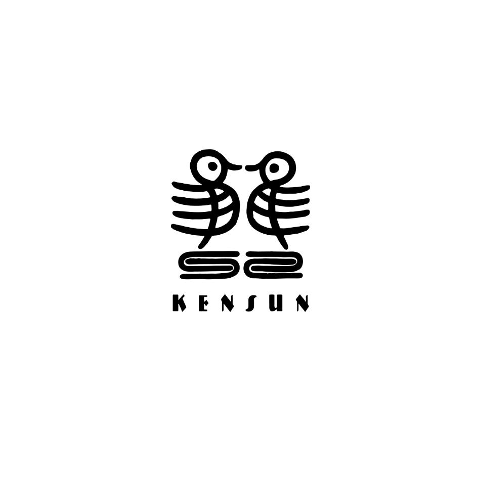 肯逊KENSUN