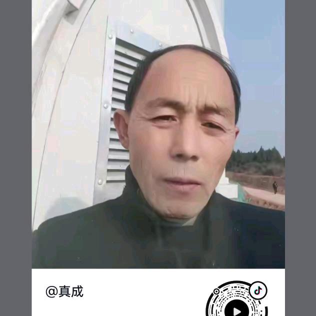 真成