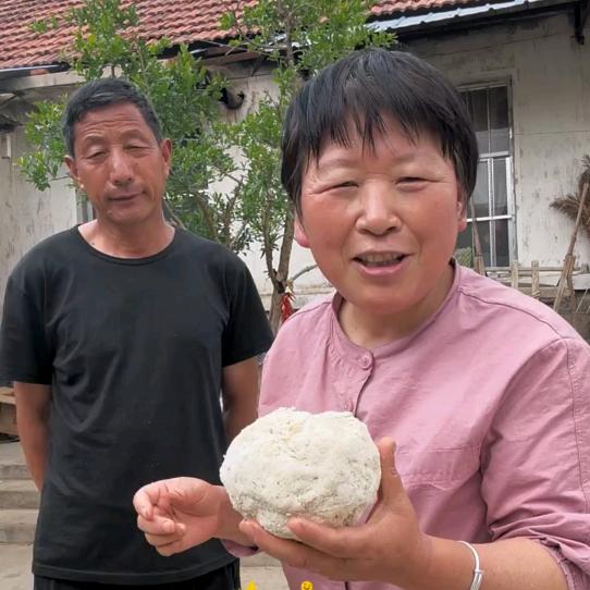 农村续姐