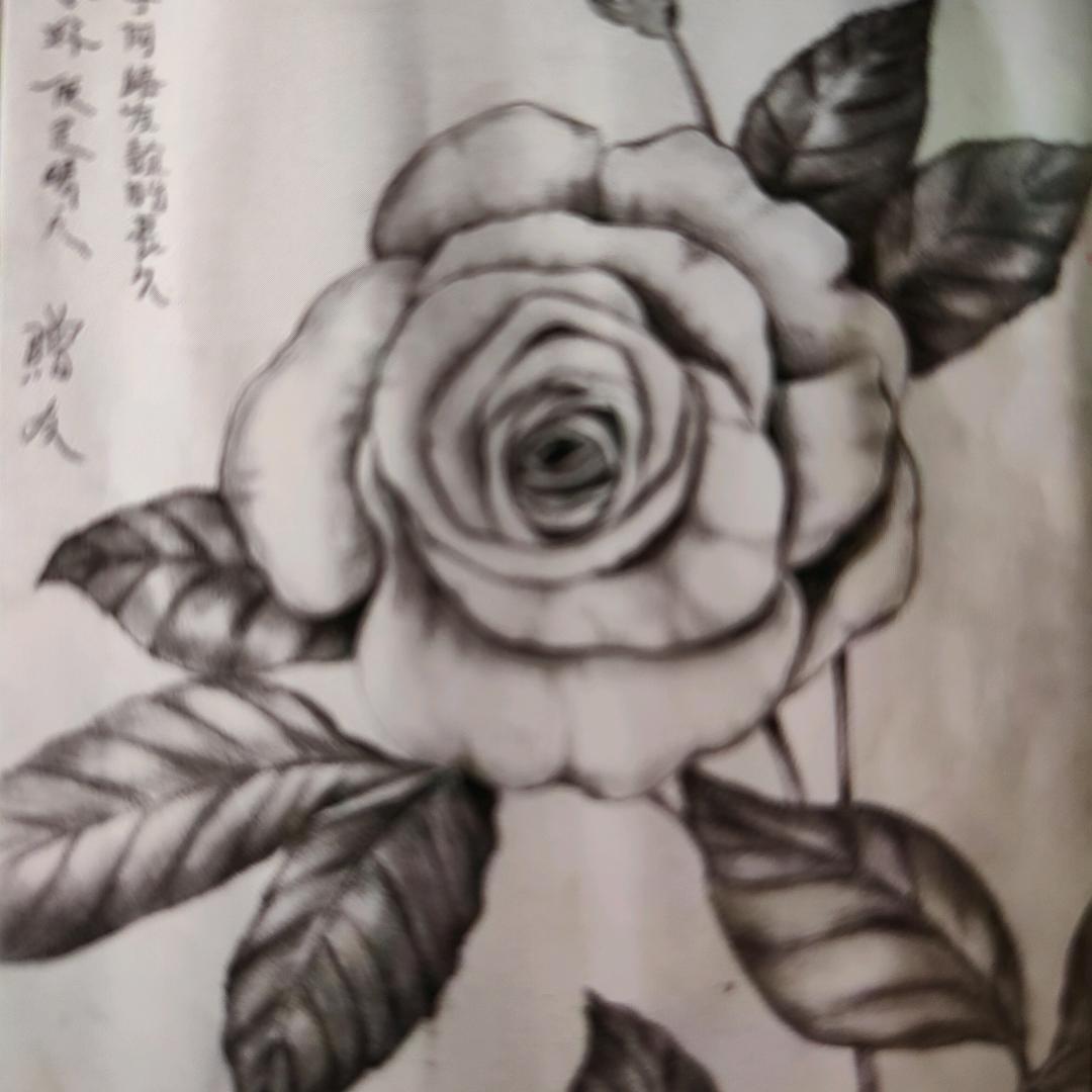 华弟