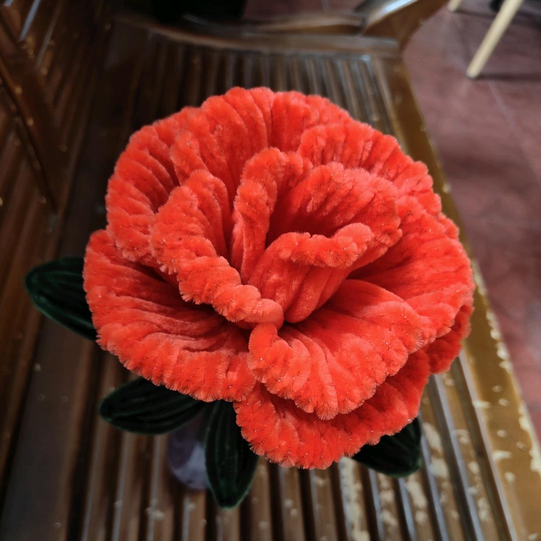 春🌴夏🌷秋🌾冬❄️真心换真情