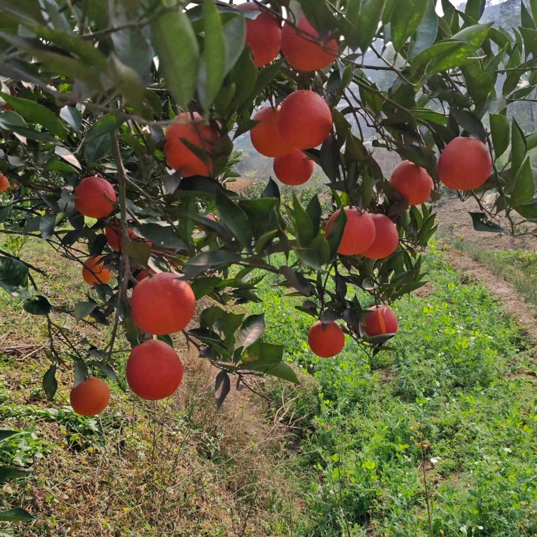 ？？我就是我？？