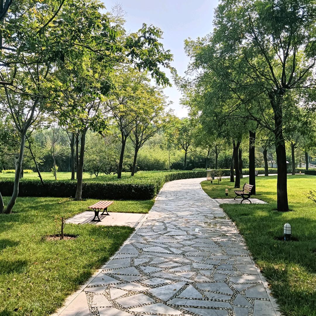 十年河东十年河西