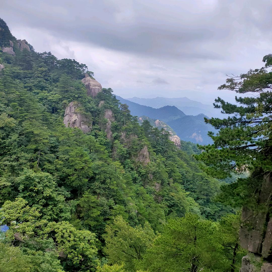 墨楠