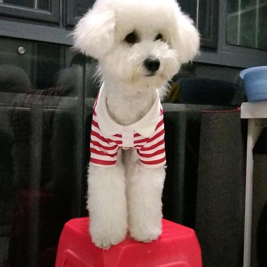 未来
