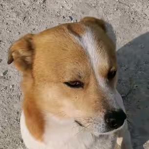 @u