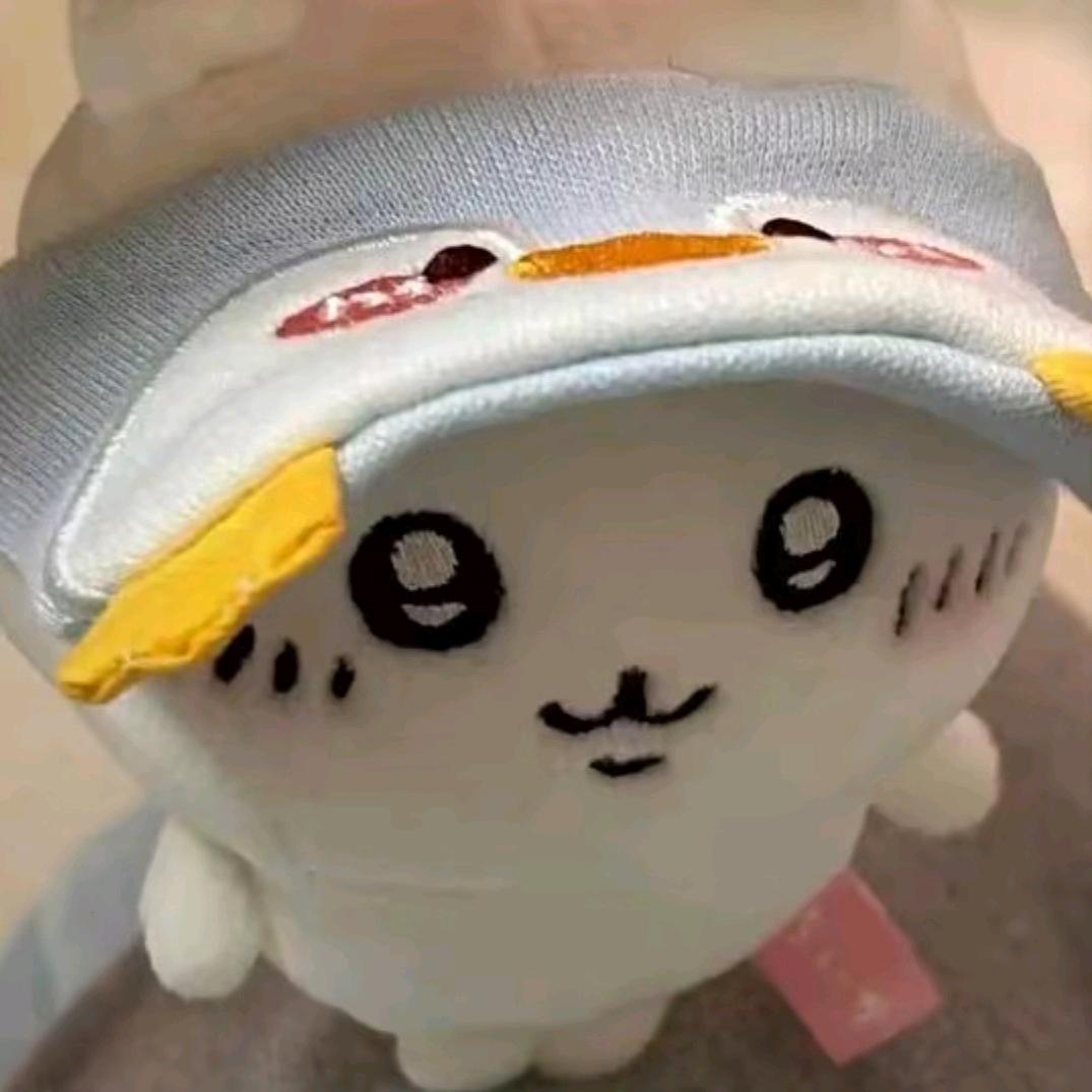 小fan头像