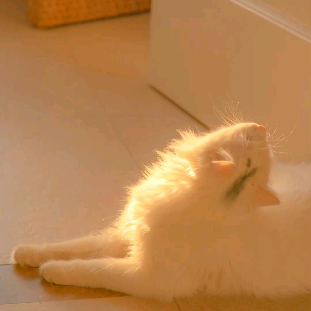 asa