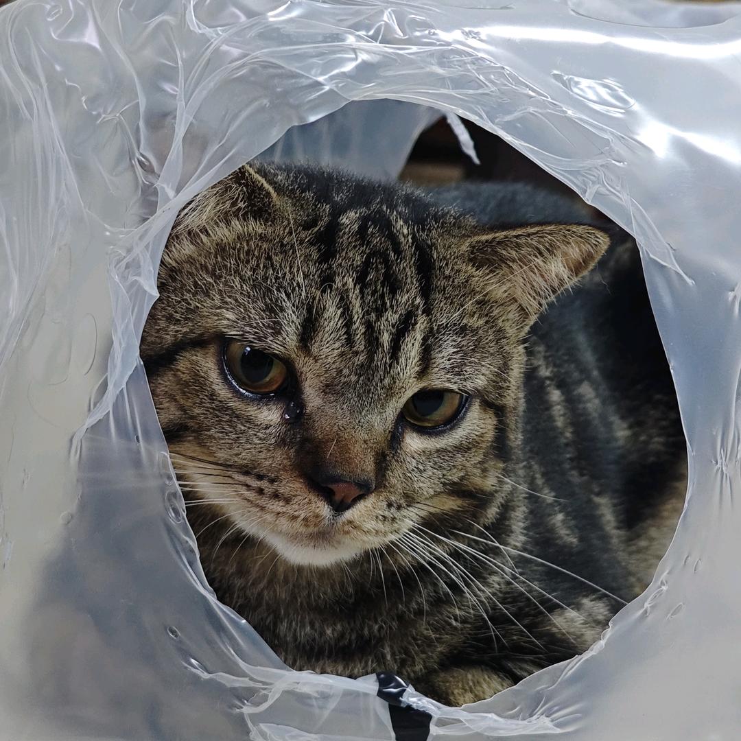 格꯭林꯭啵꯭囖꯭