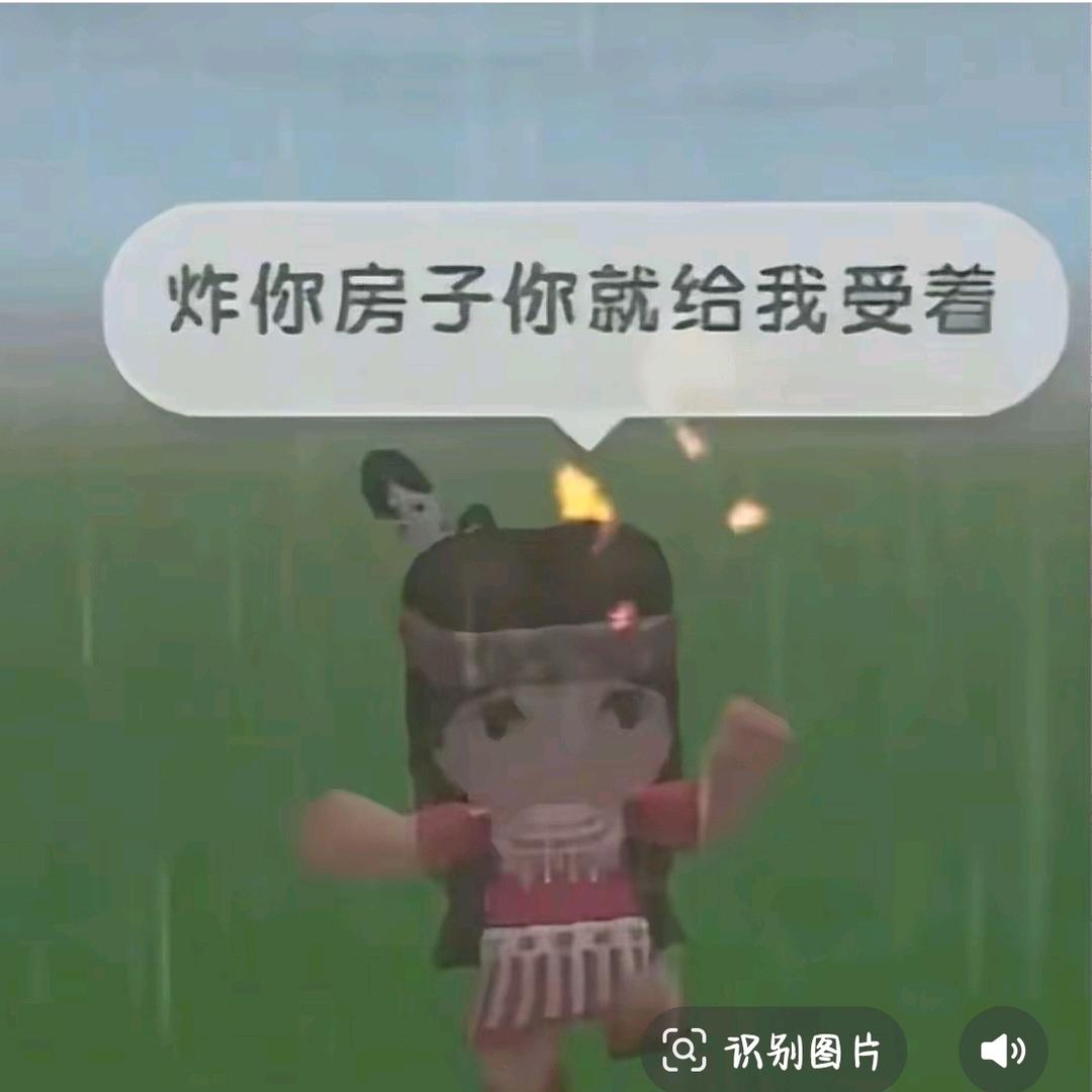 我炸你房子你就受着