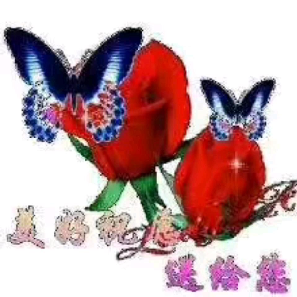 对别人的仁兹就是对自己的残忍