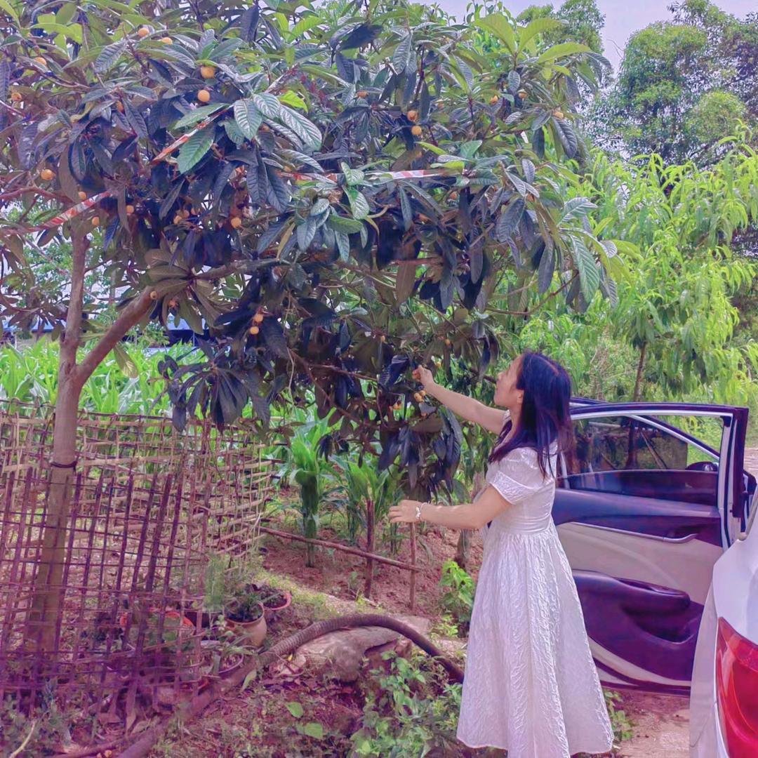 🥀陈💞如🍒意ــــﮩﮩ٨