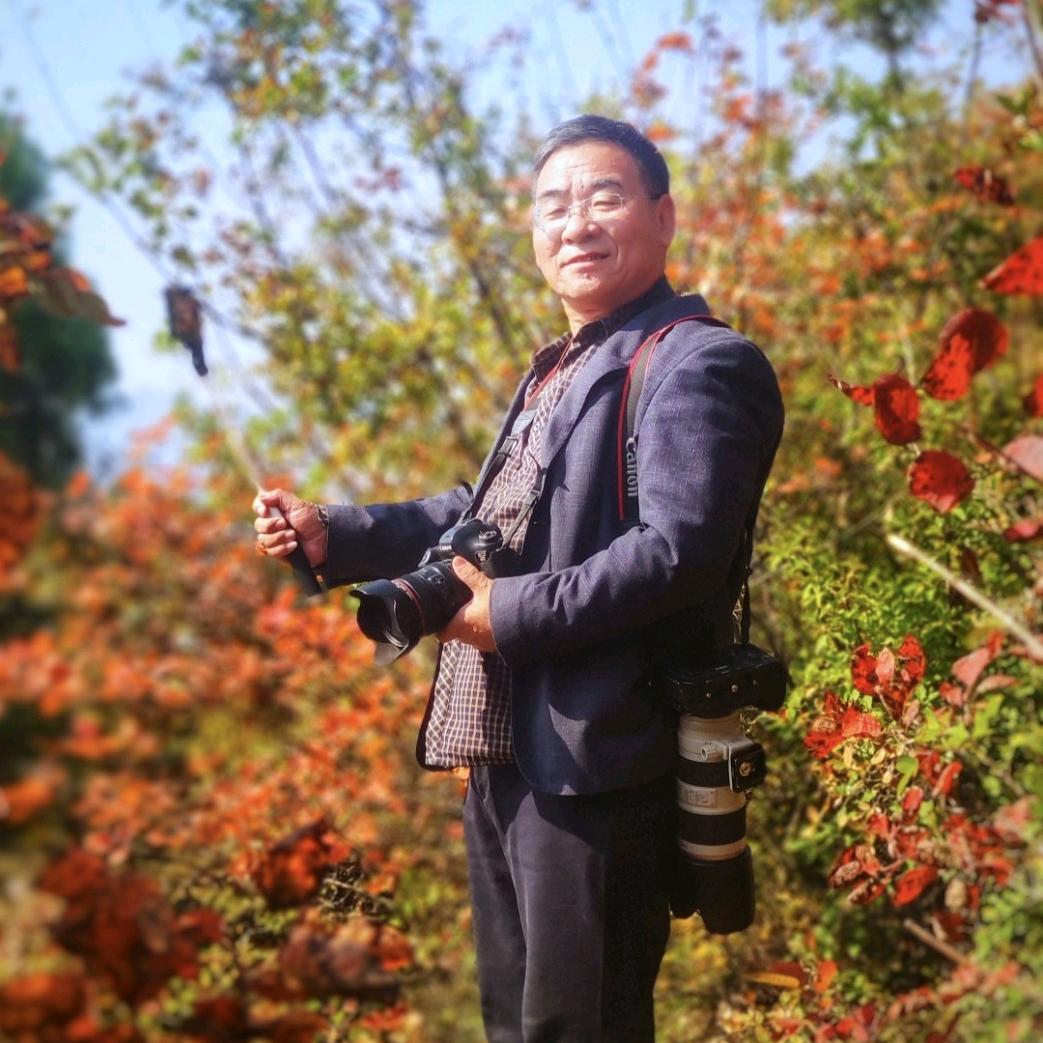 老梁好摄