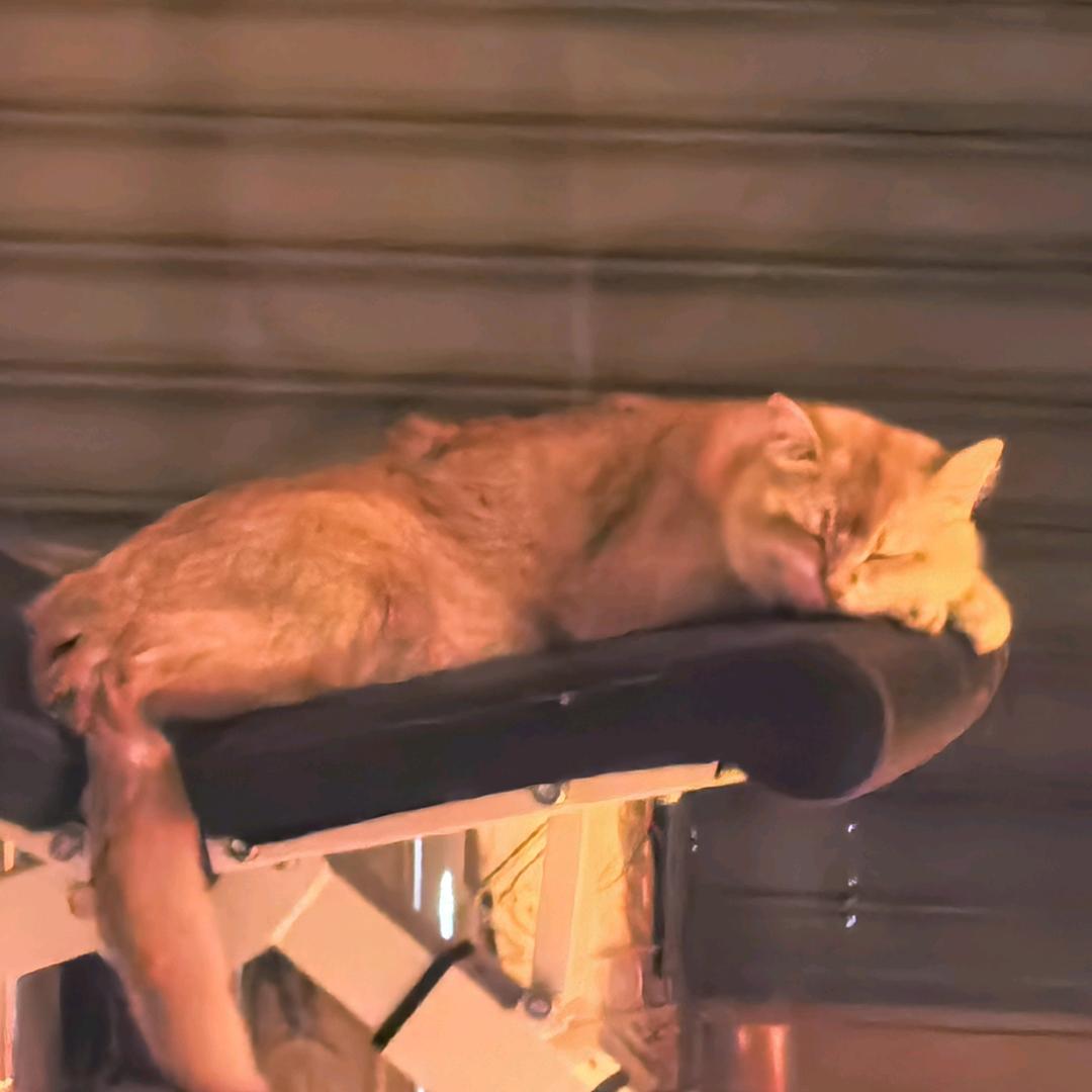 tttttt
