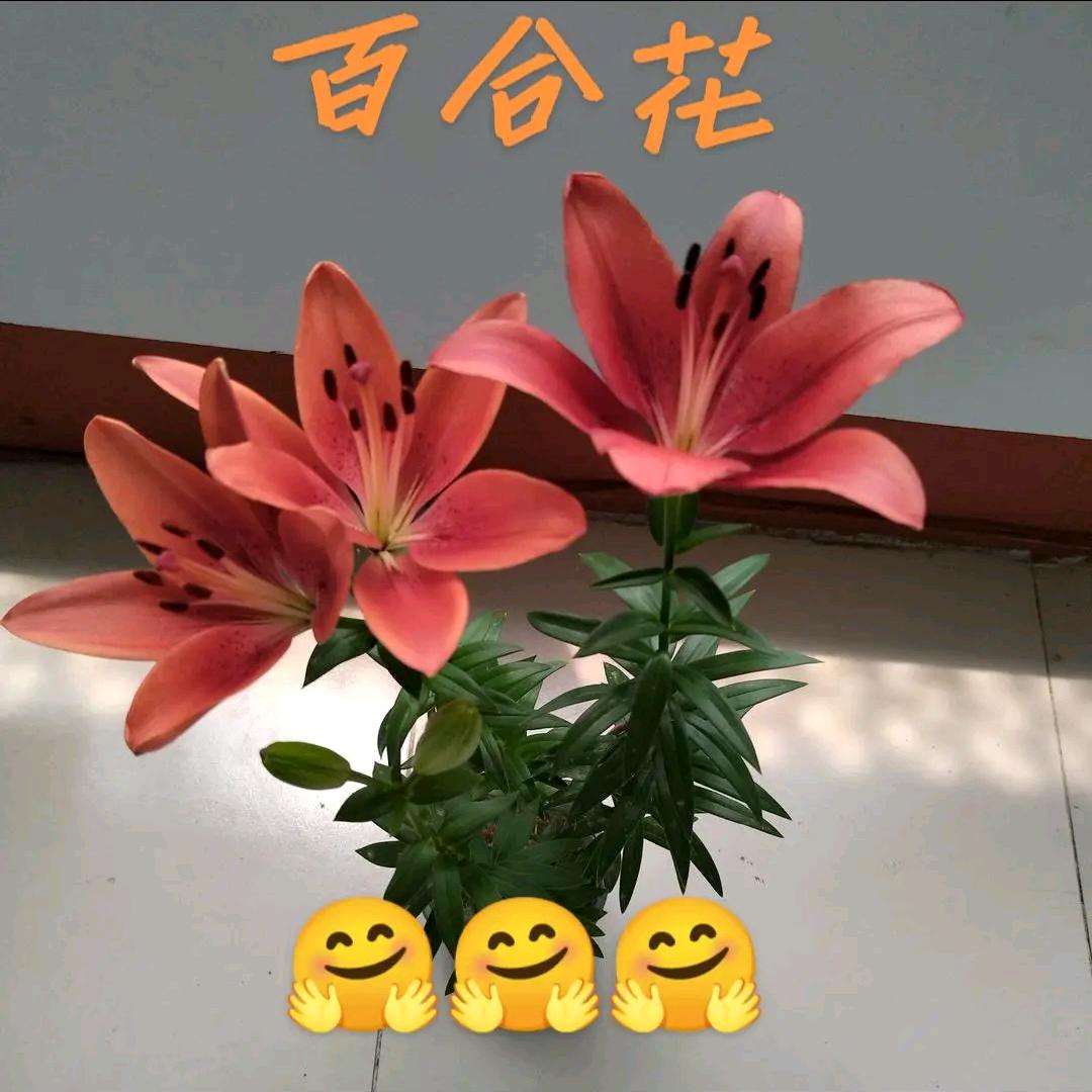 要靠自己🌹🌷🌴